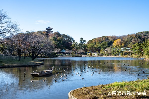 三渓園