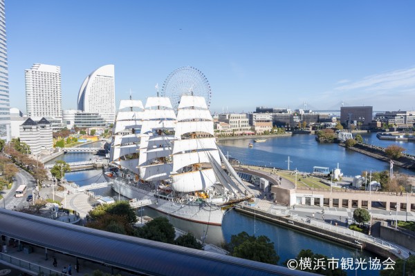 帆船日本丸「総帆展帆」